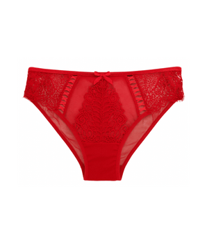 Scarlet Lace Mesh Briefs